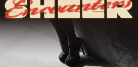 Sheer Encounters Vol. 1 -  Men's Lingerie Social