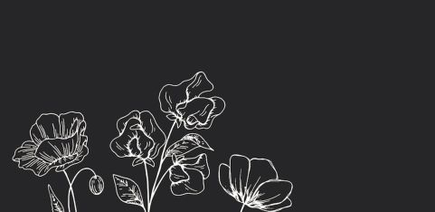 a night of words and mutual aid