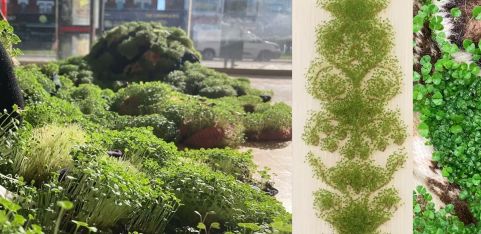 ARTISTS TALKS with Beverley Duckworth - FLP x SLQS Gallery