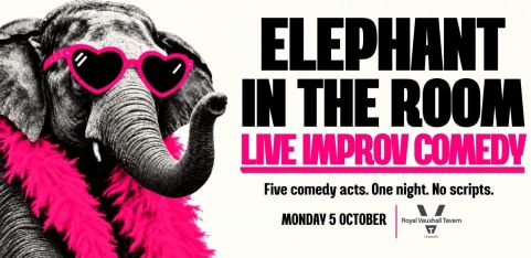 ELEPHANT IN THE ROOM 