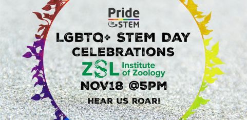 LGBTQ+STEM Day 2025 Talks & Celebrations