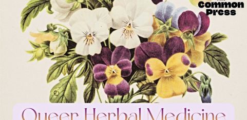 Queer Herbal Medicine: Herbs for trans health