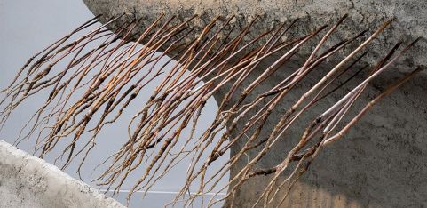 Freudian Bites with victoria helena 