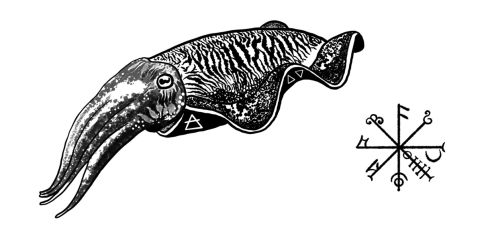 Rings of Septa: Cuttlefish Casting Workshop with Smith & Sun