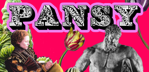 Pansy at Brighton's Bottom's Rest - a queer club night for lavender menaces and shrinking violets