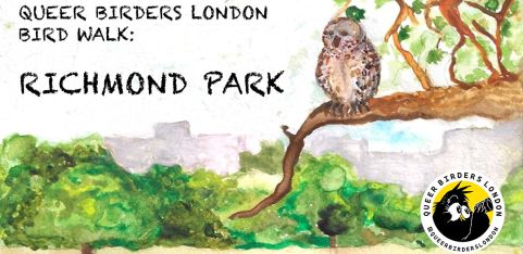 Queer Bird Walk