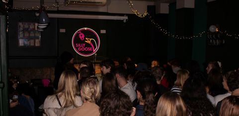 Sillier Goose Big Night