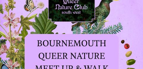 Queer Nature Meet-up and Walk in Bournemouth