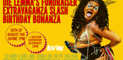 Die Lemma's Fundraiser Extravaganza Slash Birthday Bonanza