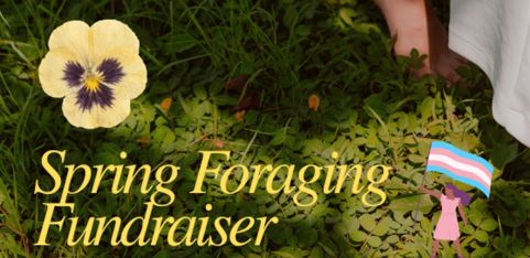 Spring Foraging Walk (Fundraiser)