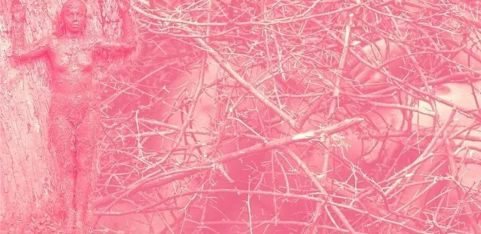 Gendered Environmentalities: Nature, Culture and Womanhood