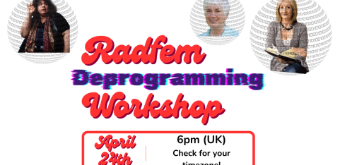 Radfem Deprogramming Workshop