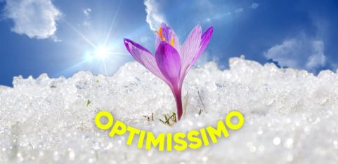 Optimissimo 002