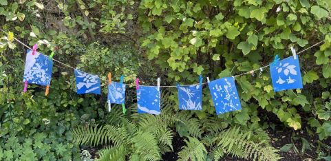 Explore Cyanotype Printing at The Grange