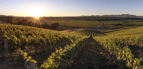 London: Magnum Club Dinner