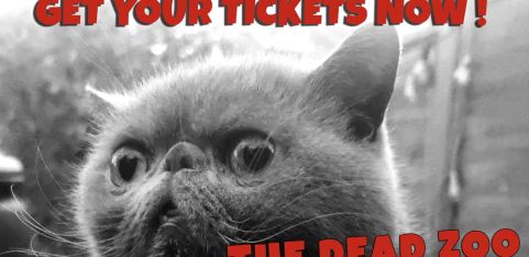 KNICKERS - MARCH EDITION