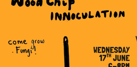 Wood Chip Innoculation