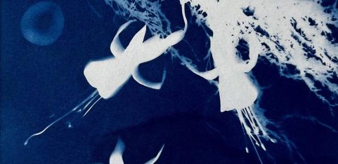 Cyanotype at Christmas at Springbank Studio