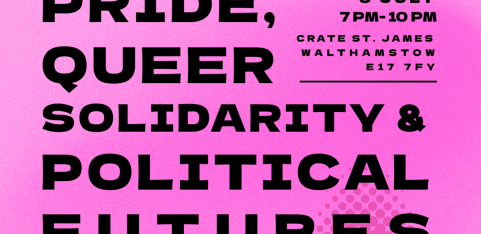 Panel Discussion:  Pride, Queer Solidarity, & Political Futures