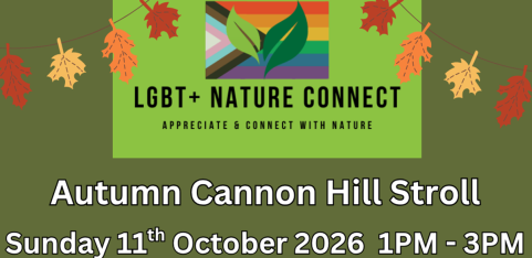 Autumn Cannon Hill Stroll