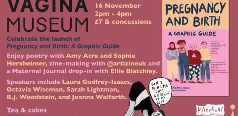 Pregnancy and Birth: A Graphic Guide Launch