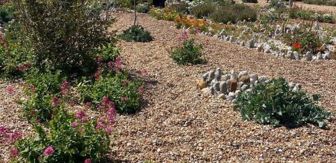 Book Launch - Q is for Garden