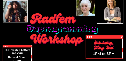 Radfem Deprogramming Workshop