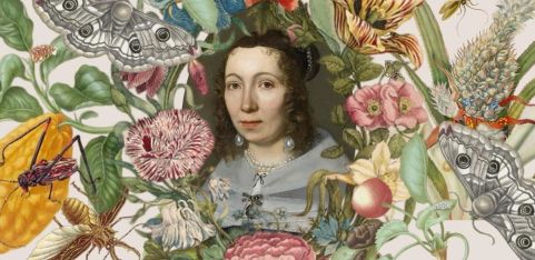 MARIA SYBILLA MERIAN: Art, Metamorphosis and the Birth of Ecological Thinking 