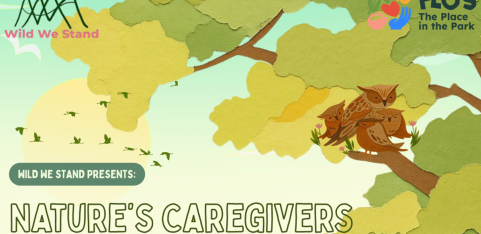 Nature's Caregivers: Father's Day Talk & Crafting Social