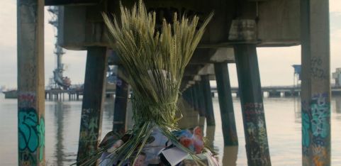 common host:  gathering the parasitic (un)natural