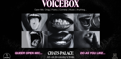 VoiceBox