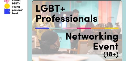 Networking for LGBT+ Professionals