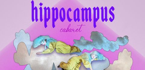 hippocampus 