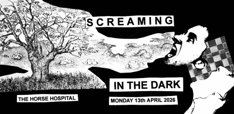 Screaming In the Dark
