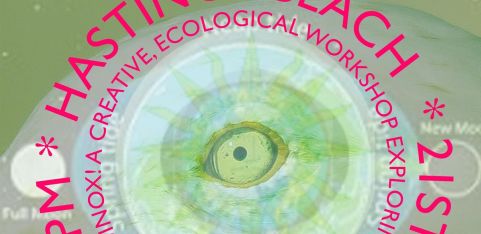 WALKING TREES COLLECTIVE - SPRING EQUINOX 2026!