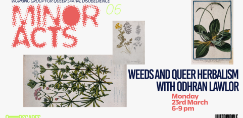 Weeds and queer herbalism: Multisensory walk & Blind Tea Tasting