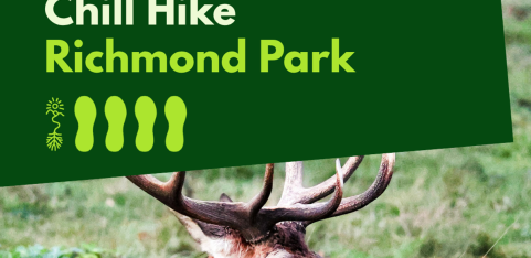 Chill Hike - Richmond Park
