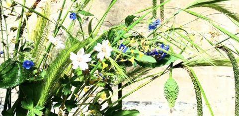 Foraged Flower Arranging 