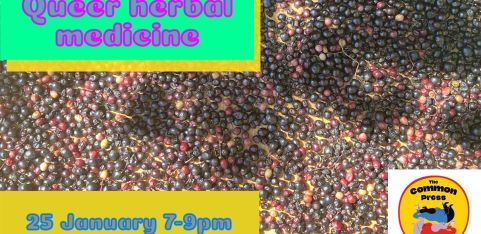 Queer Herbal Medicine: Blind Tea Tasting