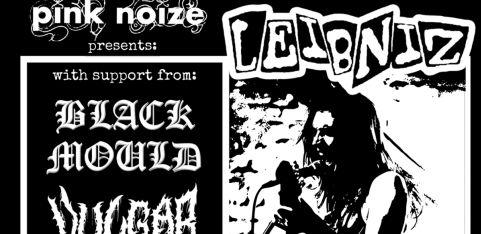 PINK NOIZE 10 - LEIBNIZ, BLACK MOULD, VULGAR, ANAEMIA