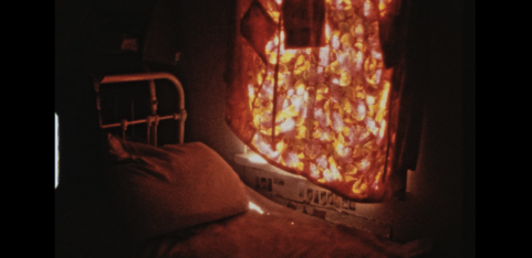 Fringe! Queer Film and Arts Fest Presents: Video Home Self (Shorts)