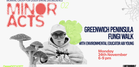 Fungi Walk with Environemntal Educator Abi Young