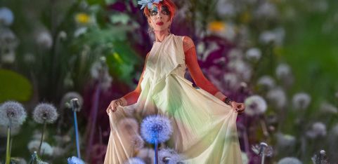 David Hoyle's Midsummer Mayhem