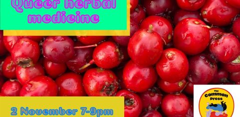 Queer Herbal Medicine: Blind Tea Tasting