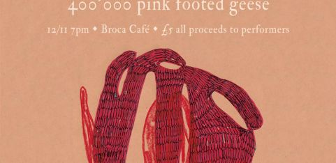 400,000 pink footed geese