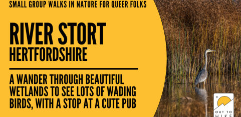 River Stort wetland wander