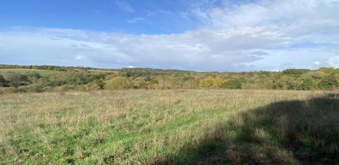 DHW Halloween Highwoods Hike Oct 2026