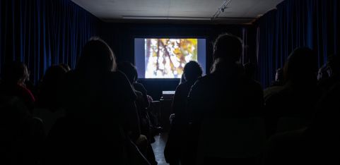 Feature film screening with Barking Community Cinema