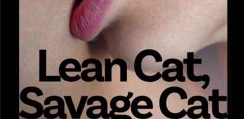 Book Launch - Lean Cat, Savage Cat by Lauren J. Joseph