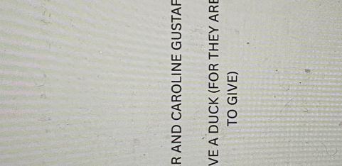 Adam Dorr and Caroline Gustafsson: I could not give a duck (for they are not mine to give)